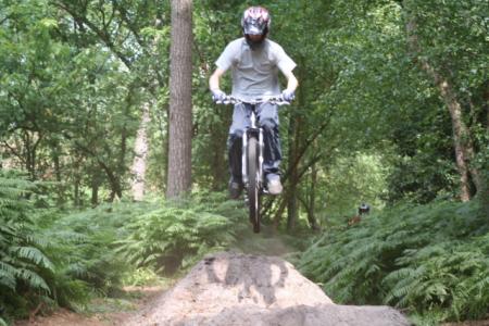 martin bois de sam